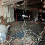 7 Warning Signs Your Home May Need Repiling