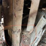 Living in Waikato? Your Home’s Foundation May Be Under Pressure